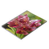 Carnet Groupe tropical d'orchidée de Vanda (Côté gauche)