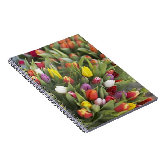 Carnet Groupes de tulipes colorées (Côté Droit)