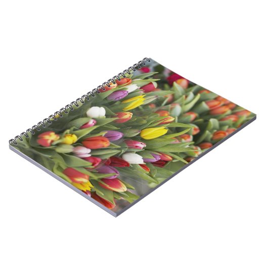 Carnet Groupes de tulipes colorées (Côté gauche)