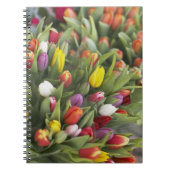 Carnet Groupes de tulipes colorées (Devant)