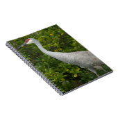 Carnet Grue de Sandhill Oiseau vert Feuilles Photo (Côté Droit)