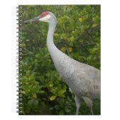 Carnet Grue de Sandhill Oiseau vert Feuilles Photo (Devant)