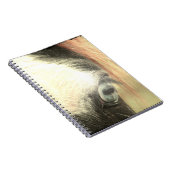 Carnet Grunge de Cheval À Oeil Bleu (Côté Droit)