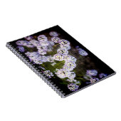Carnet Grungy Sweet Alyssum (Côté Droit)