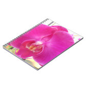 Carnet Guda (Côté gauche)