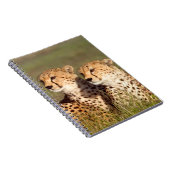 Carnet Guépard couché dans l'herbe, Ngorongoro Conservati (Côté Droit)