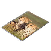 Carnet Guépard couché dans l'herbe, Ngorongoro Conservati (Côté gauche)