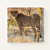 Carnet Guépard regardant autour (Dos)
