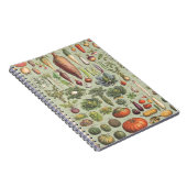 Carnet Guide français du jardin (Côté Droit)