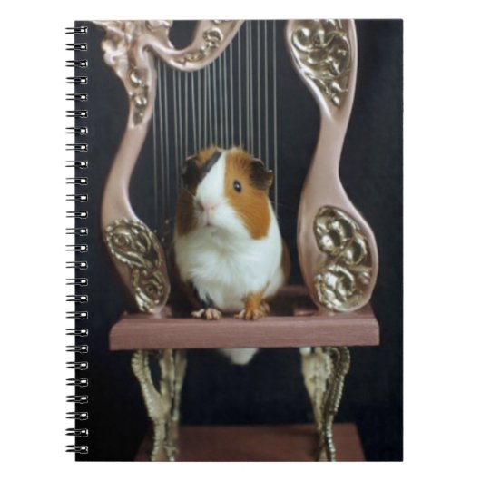 Carnet Guinea Pig Harp Notebook – Whimsical Storybook (Devant)