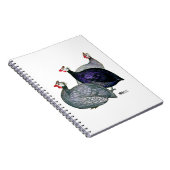 Carnet Guineas trois (Côté Droit)