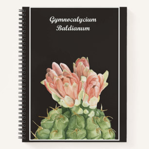 Carnet Gymnocalycium Baldianum Cactus