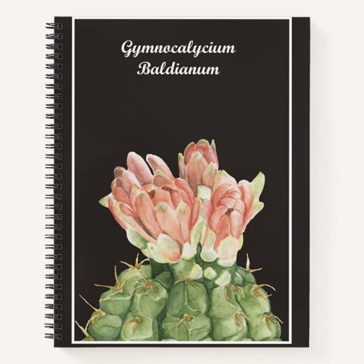 Carnet Gymnocalycium Baldianum Cactus (Devant)