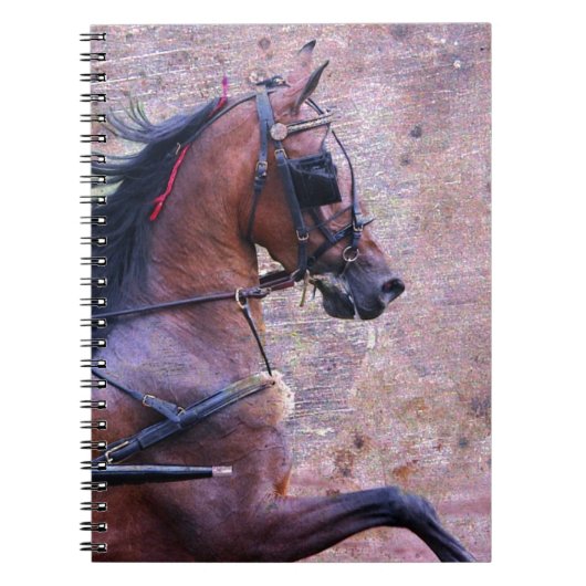 Carnet Hackney Grunge (Devant)