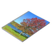 Carnet Haddam Meadows (Côté gauche)