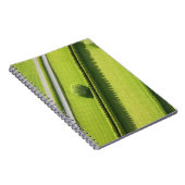 Carnet Haie dans le Hamptons (Côté Droit)