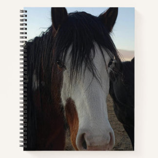 Carnet Hair in the Eyes Spiral Notebook