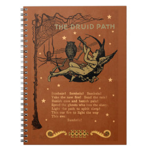 Carnet Halloween Samhain Fairy Owl Spider Web