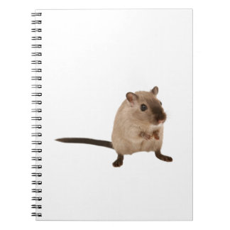 Carnet hampster mignon