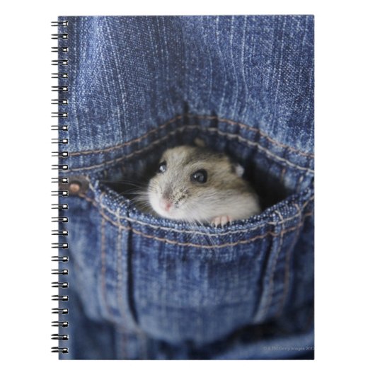 Carnet Hamster dans la poche (Devant)
