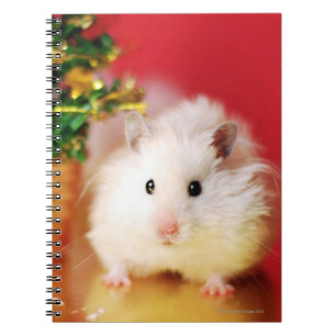 Carnet Hamster Kokolinka avec l'arbre de Noël