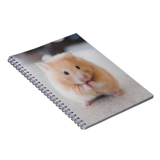 Carnet Hamster mignon (Côté Droit)
