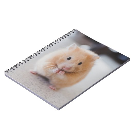 Carnet Hamster mignon (Côté gauche)