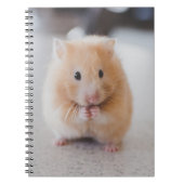 Carnet Hamster mignon (Devant)