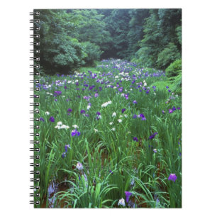 Carnet Hana Shobu (Iris d'eau japonais), Meiji-jingu,
