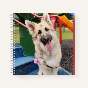 Carnet Happy Head Tilt