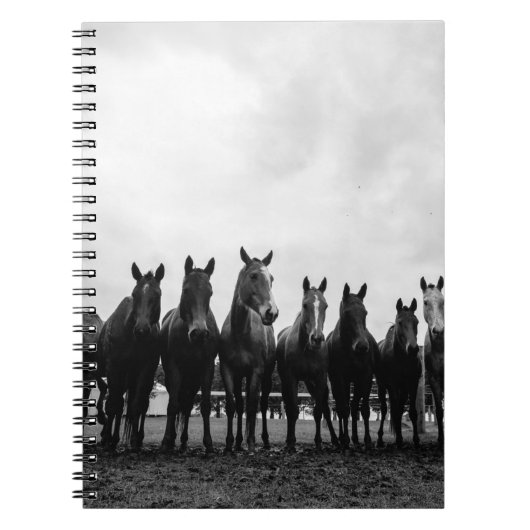CARNET HARAS LA POLACA (Devant)