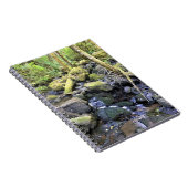 Carnet Hardy Creek, Oregon (Côté Droit)