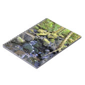 Carnet Hardy Creek, Oregon (Côté gauche)