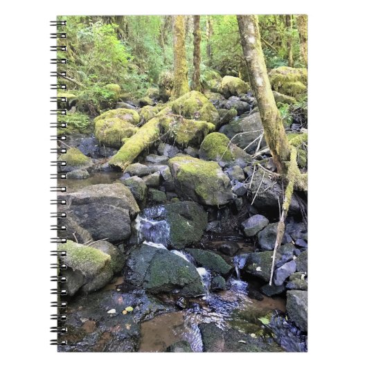 Carnet Hardy Creek, Oregon (Devant)