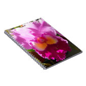 Carnet Harlinde (Côté Droit)