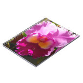 Carnet Harlinde (Côté gauche)