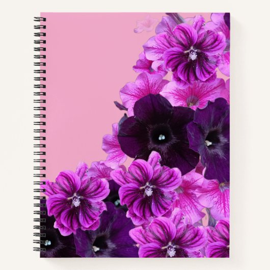 Carnet Harmonie de Blossom (Devant)