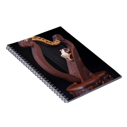 Carnet Harp & Mini Explorer Notebook (Côté Droit)