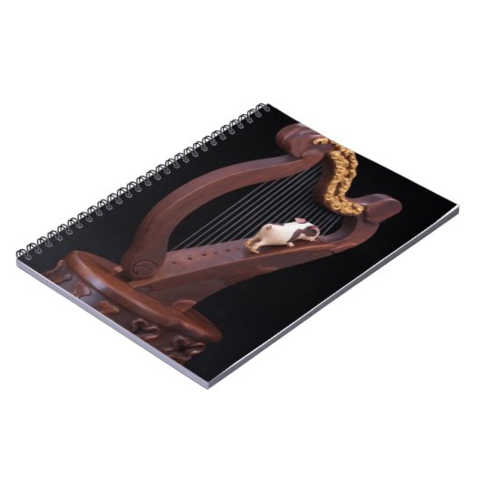 Carnet Harp & Mini Explorer Notebook (Côté gauche)