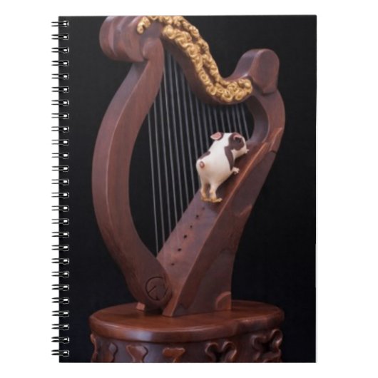 Carnet Harp & Mini Explorer Notebook (Devant)