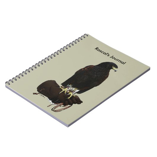 Carnet Harris Hawk sur Glove (Côté gauche)