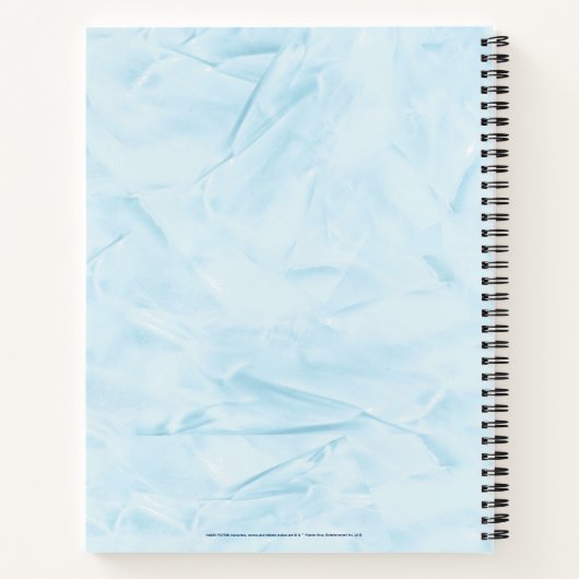 Carnet Harry Potter | Aguamenti Dark Mark Graphic (Dos)