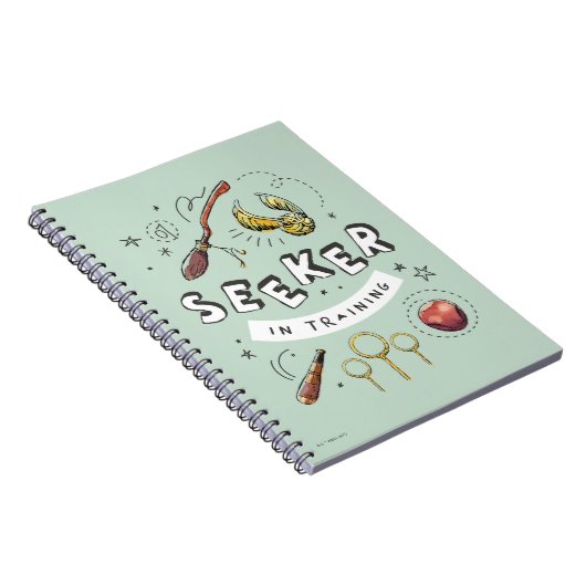 Carnet HARRY POTTER™ | Attrapeur en formation (Côté Droit)