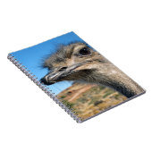 Carnet Harry the Happy Ostrich (Côté Droit)