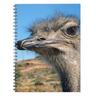 Carnet Harry the Happy Ostrich
