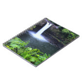 Carnet Hawaï, Big Island, Hilo, Rainbow Falls, Lush (Côté gauche)