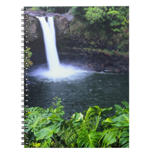 Carnet Hawaï, Big Island, Hilo, Rainbow Falls, Lush (Devant)