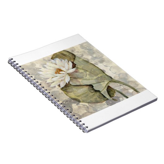 Carnet HAZ23 Amazonie 1.tif (Côté Droit)