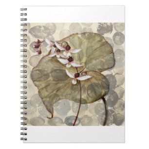 Carnet HAZ24 Amazonie 2.tif