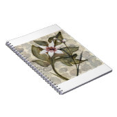 Carnet HAZ26 Amazonie 4.tif (Côté Droit)